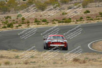 media/May-03-2025-Lucky Dog Racing (Sat) [[206de64b9d]]/Turn 2 (1020am-1120am)/